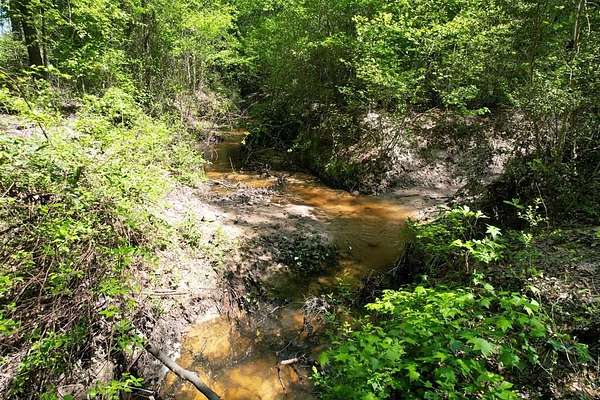 146 Acres of Land for Sale in Grapeland, Texas