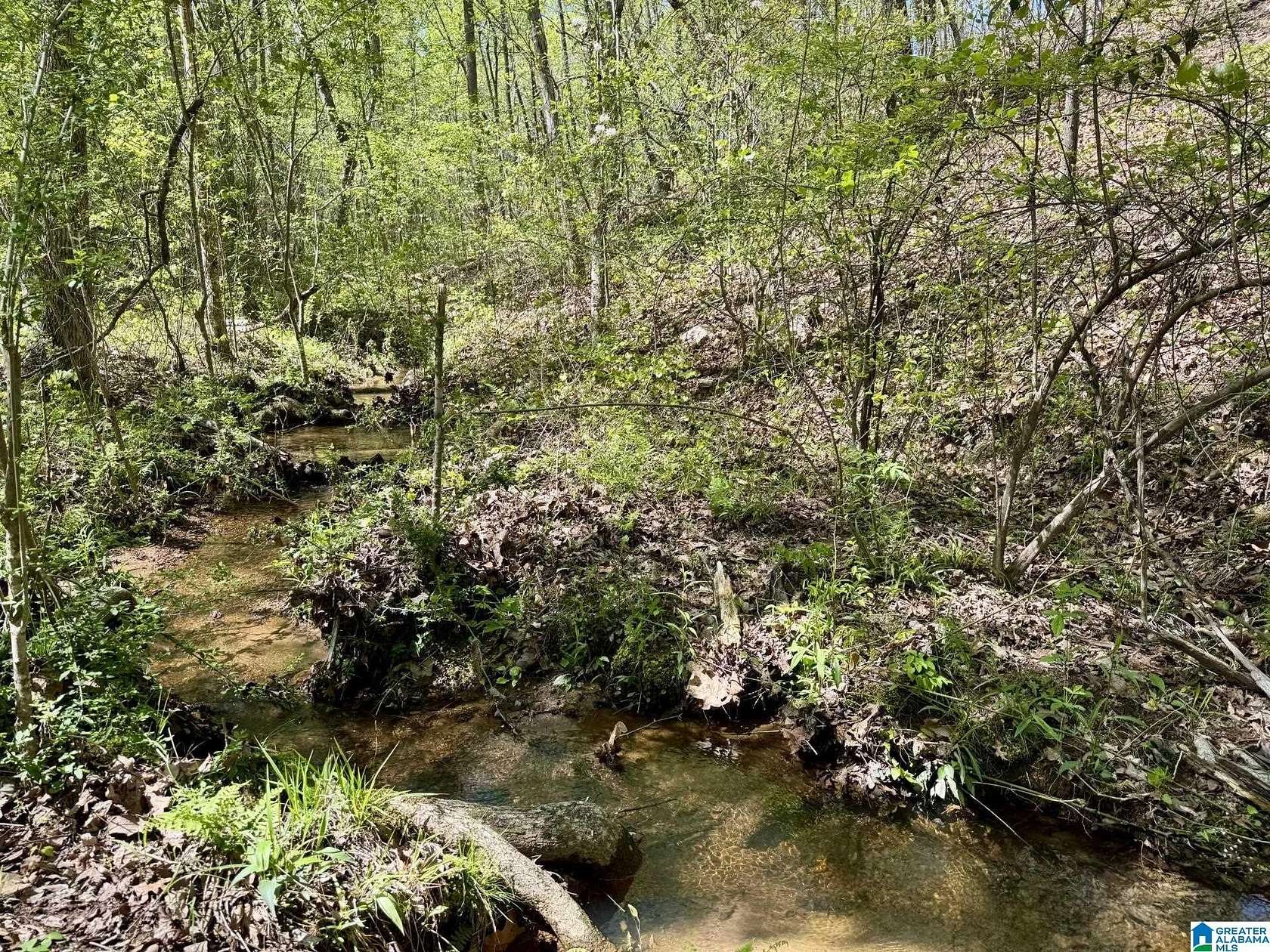5 Acres of Residential Land for Sale in Roanoke, Alabama
