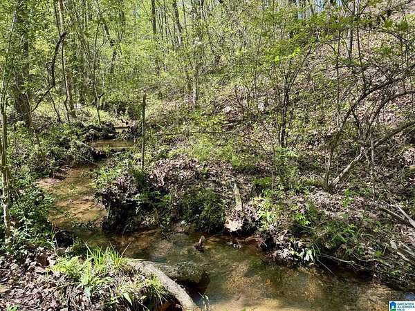 5 Acres of Residential Land for Sale in Roanoke, Alabama