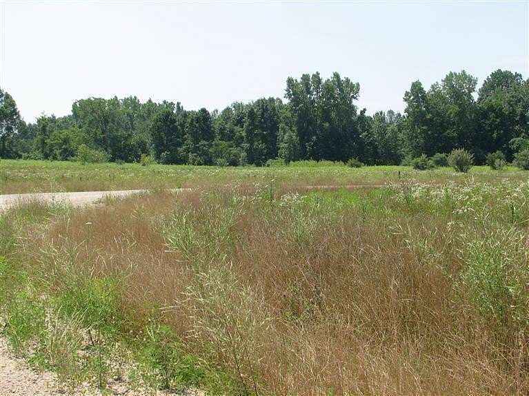 0.42 Acres of Residential Land for Sale in Sawyer, Michigan