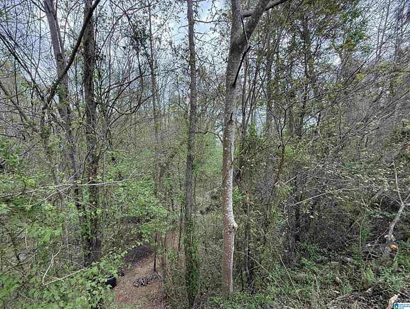 19.8 Acres of Land for Sale in Chelsea, Alabama