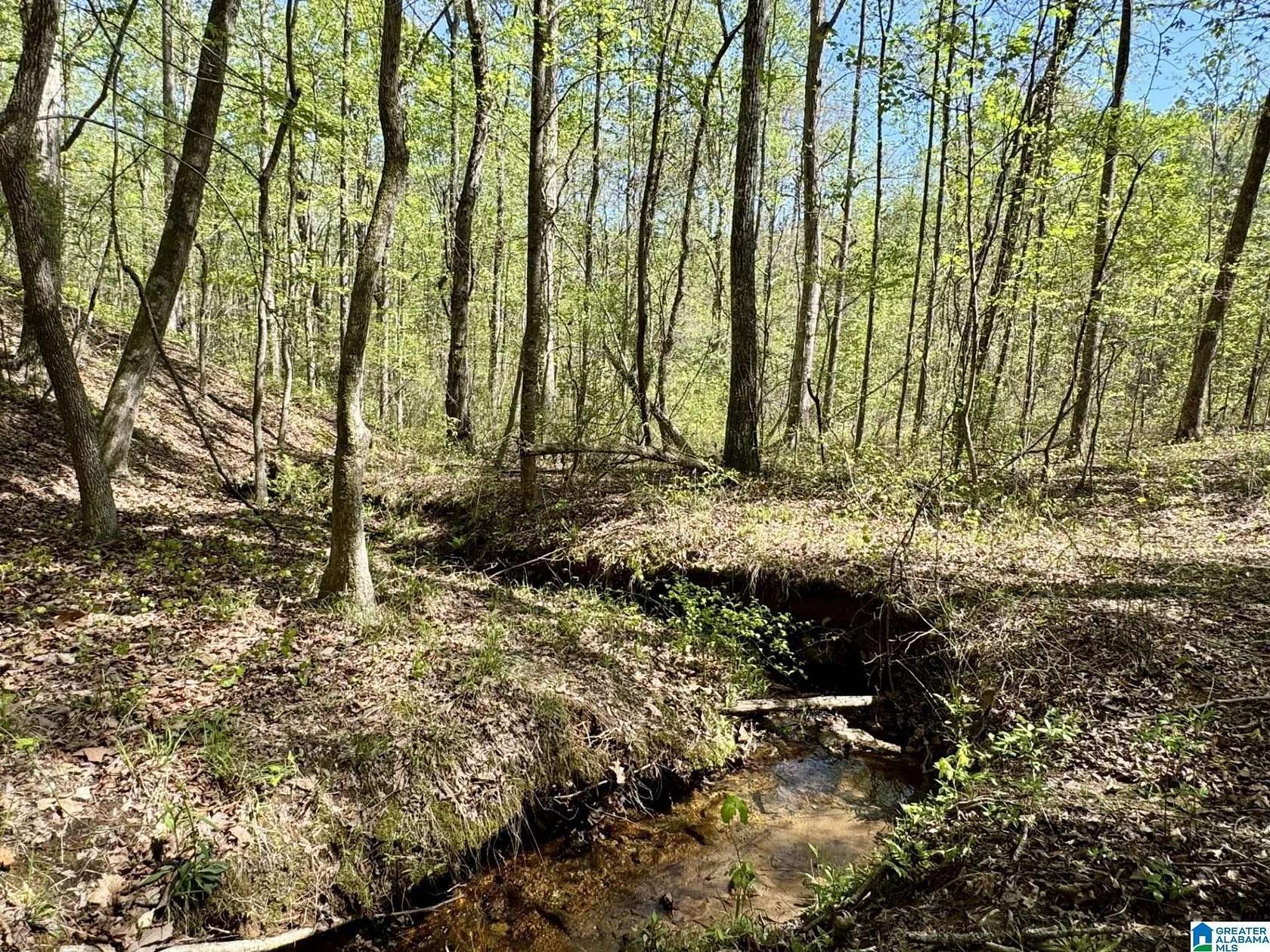 5 Acres of Residential Land for Sale in Roanoke, Alabama