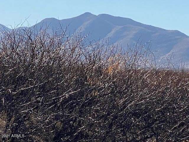 41 Acres of Recreational Land for Sale in McNeal, Arizona