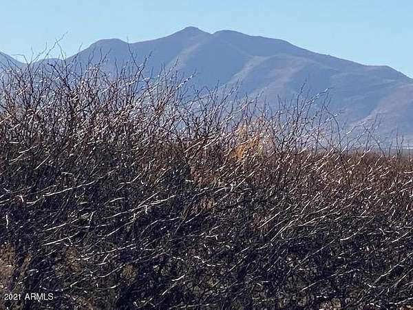 41 Acres of Recreational & Residential Land for Sale in McNeal, Arizona