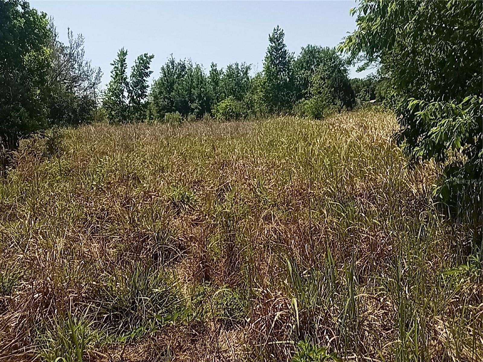 4.15 Acres of Residential Land for Sale in Clermont, Florida