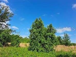 4.15 Acres of Residential Land for Sale in Clermont, Florida