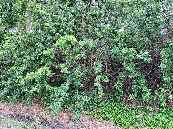 0.14 Acres of Residential Land for Sale in Tarpon Springs, Florida