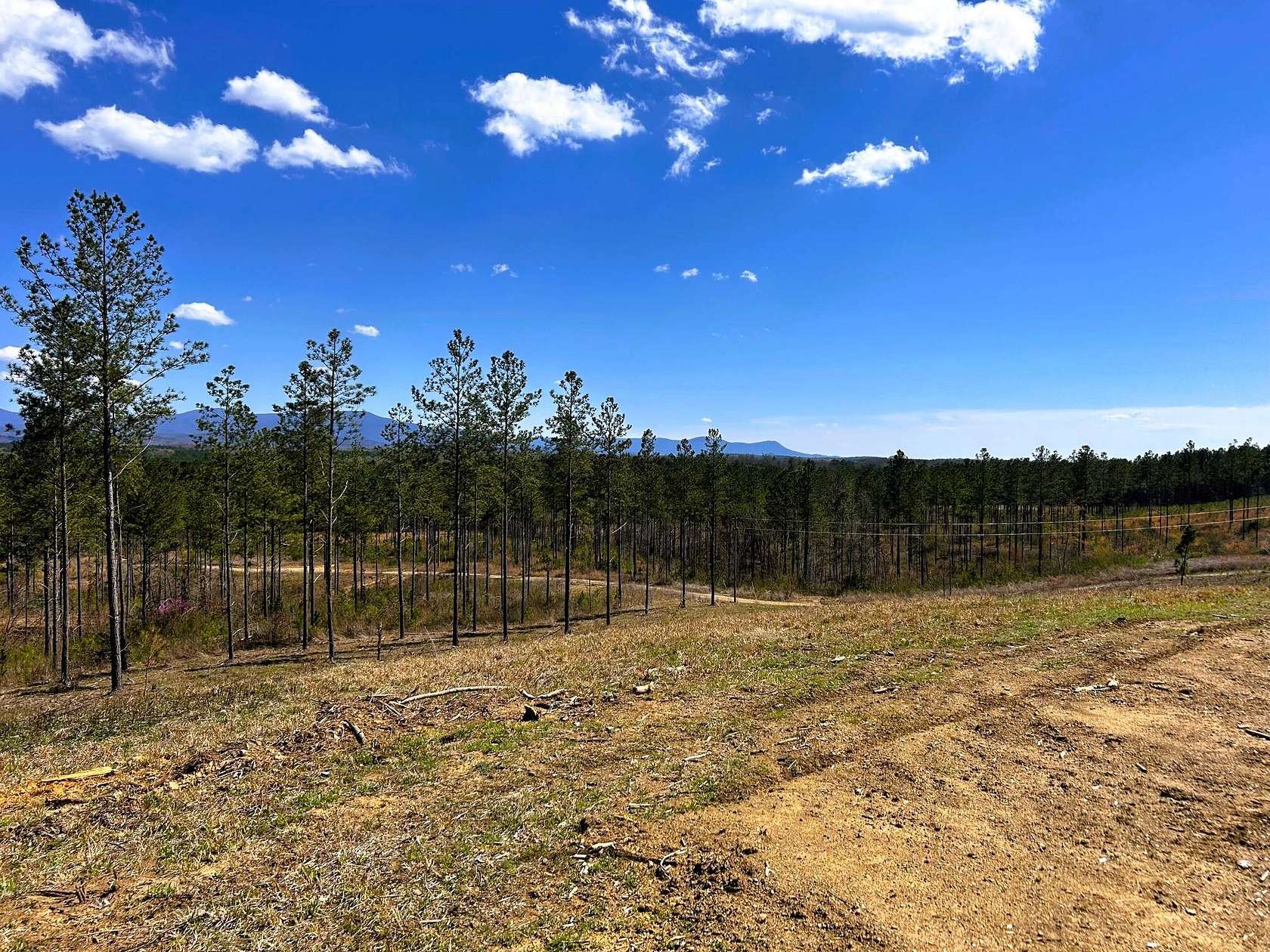 30.6 Acres of Land for Sale in Cleveland, Tennessee