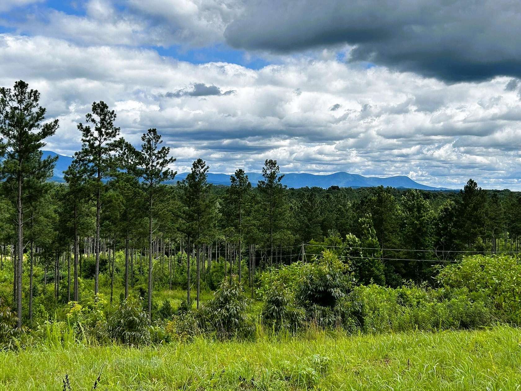 30.6 Acres of Land for Sale in Cleveland, Tennessee