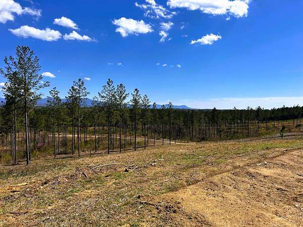 30.6 Acres of Land for Sale in Cleveland, Tennessee