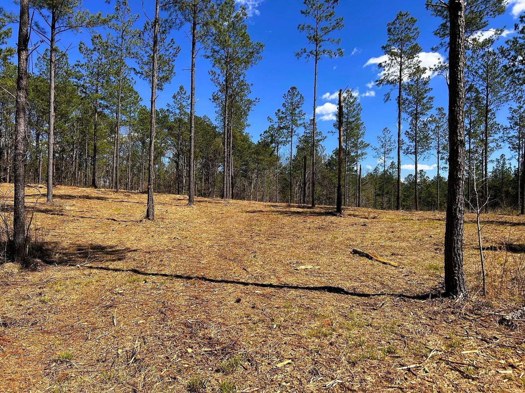 28.8 Acres of Land for Sale in Cleveland, Tennessee