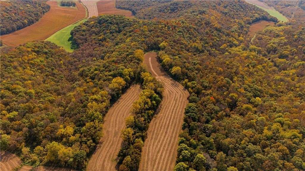 223 Acres of Recreational Land for Sale in Montana Town, Wisconsin