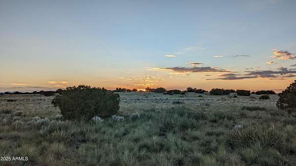 37.5 Acres of Recreational Land for Sale in St. Johns, Arizona