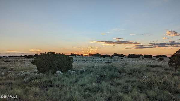 37.5 Acres of Recreational Land for Sale in St. Johns, Arizona
