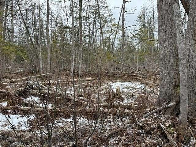 3.2 Acres of Residential Land for Sale in Honor, Michigan