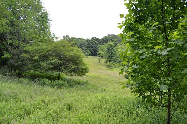 87.6 Acres of Recreational Land for Sale in Cass, West Virginia