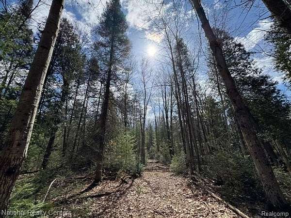 17.3 Acres of Recreational & Residential Land for Sale in Roscommon Township, Michigan