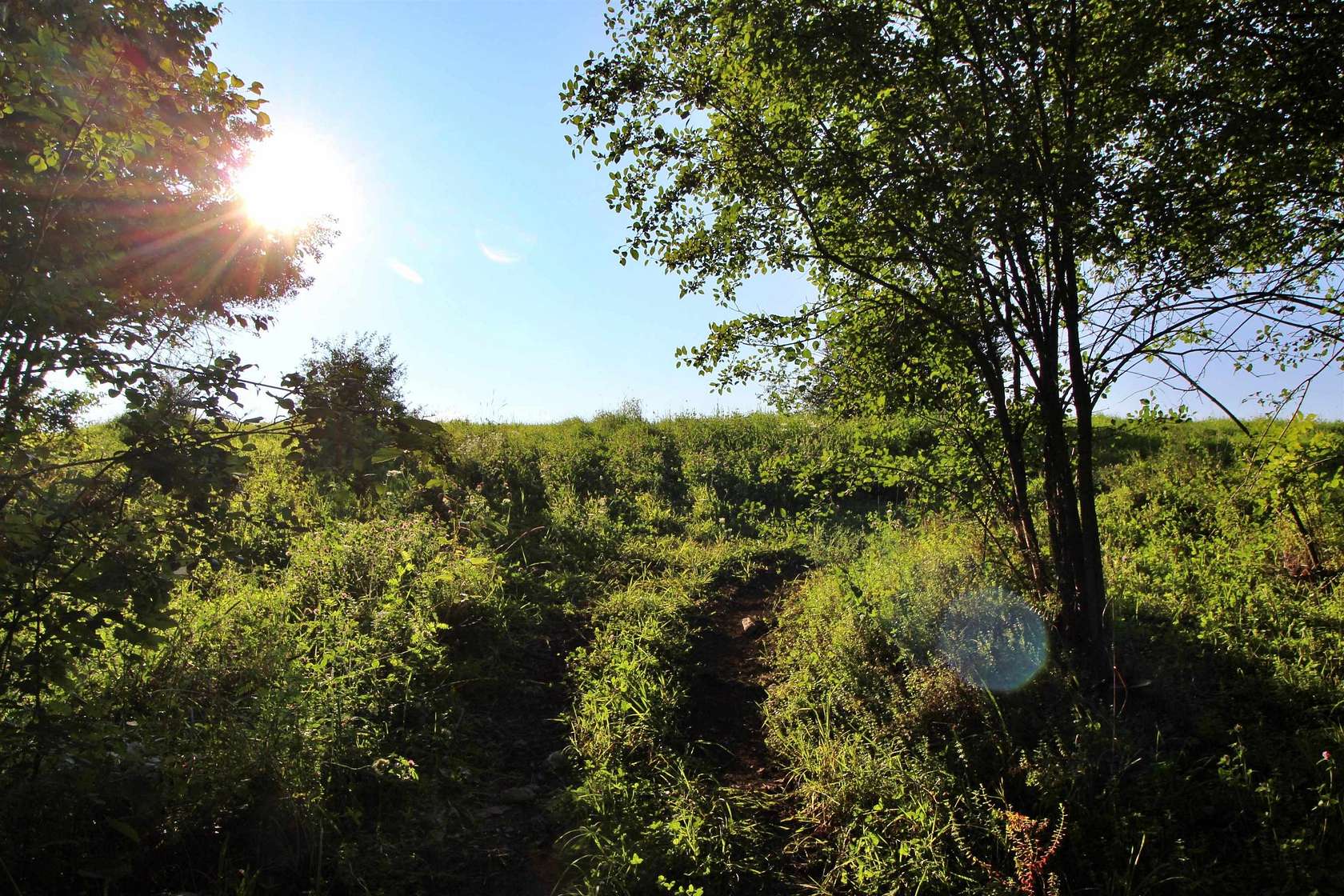 4.89 Acres of Residential Land for Sale in Grand Isle, Vermont