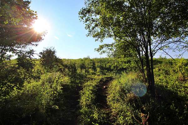 4.89 Acres of Residential Land for Sale in Grand Isle, Vermont