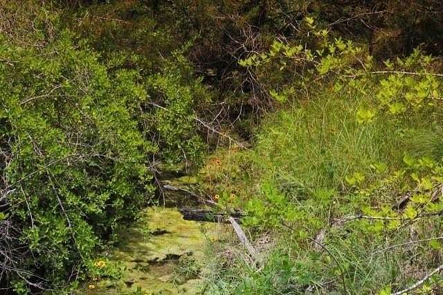 1 Acre of Residential Land for Sale in Weatherford, Texas