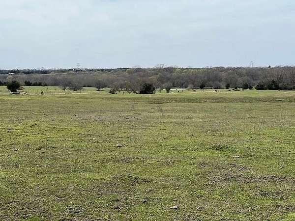 36.5 Acres of Improved Agricultural Land for Sale in Blue Ridge, Texas