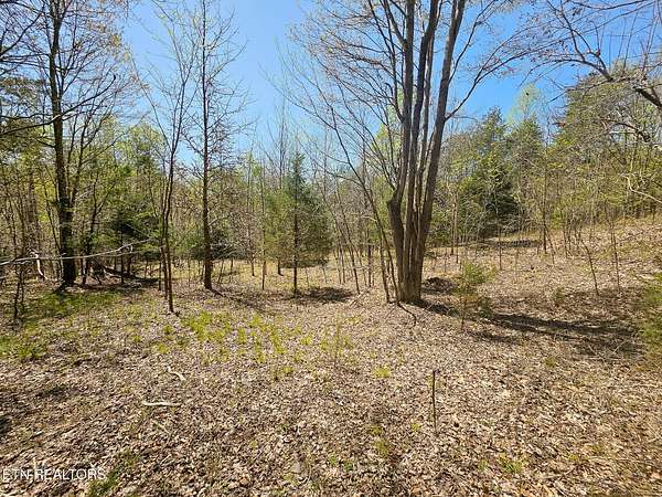 5.22 Acres of Residential Land for Sale in New Tazewell, Tennessee