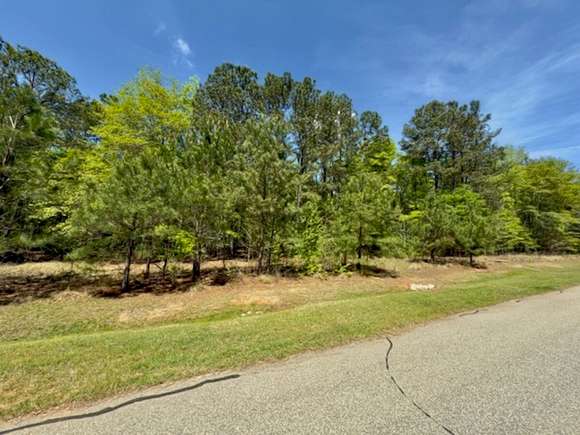 1.1 Acres of Residential Land for Sale in Rockingham, North Carolina
