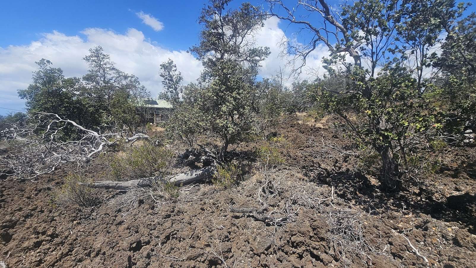 1 Acre of Land for Sale in Hawaiian Ocean View, Hawaii