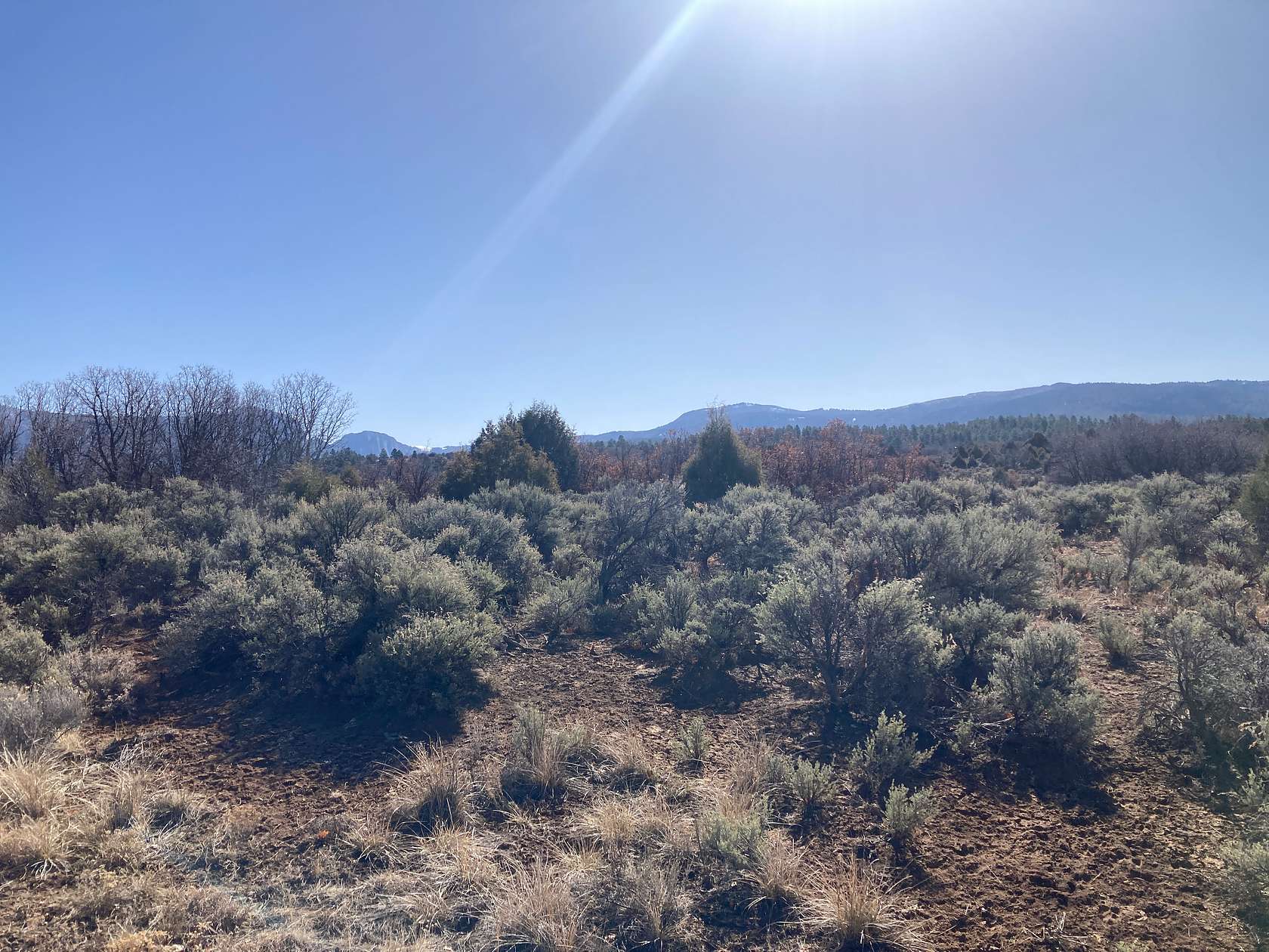 48.9 Acres of Recreational Land & Farm for Sale in Ensenada, New Mexico