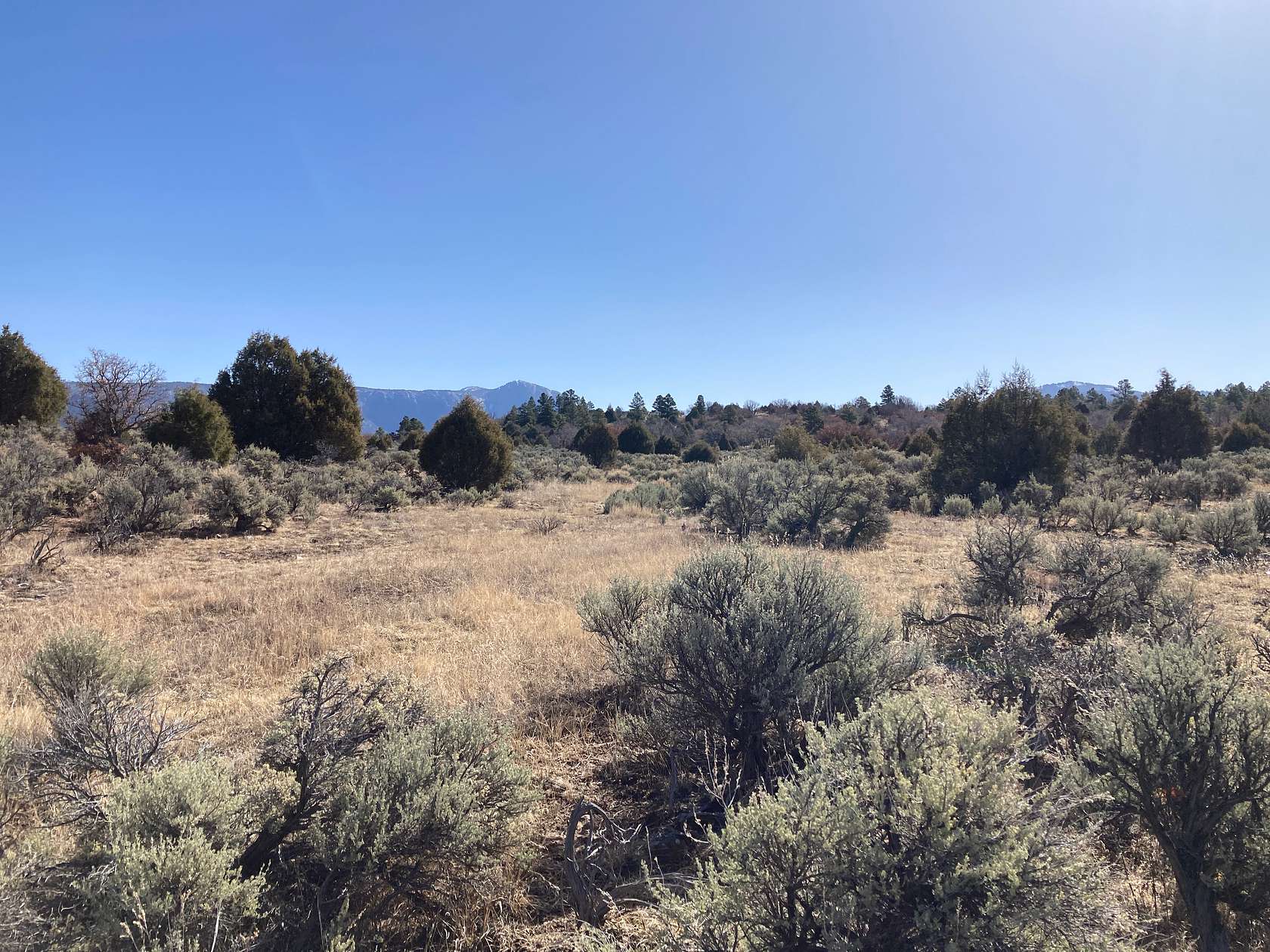 58.8 Acres of Recreational Land & Farm for Sale in Ensenada, New Mexico