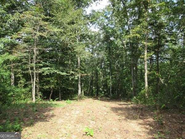 4.7 Acres of Land for Sale in Bowdon, Georgia