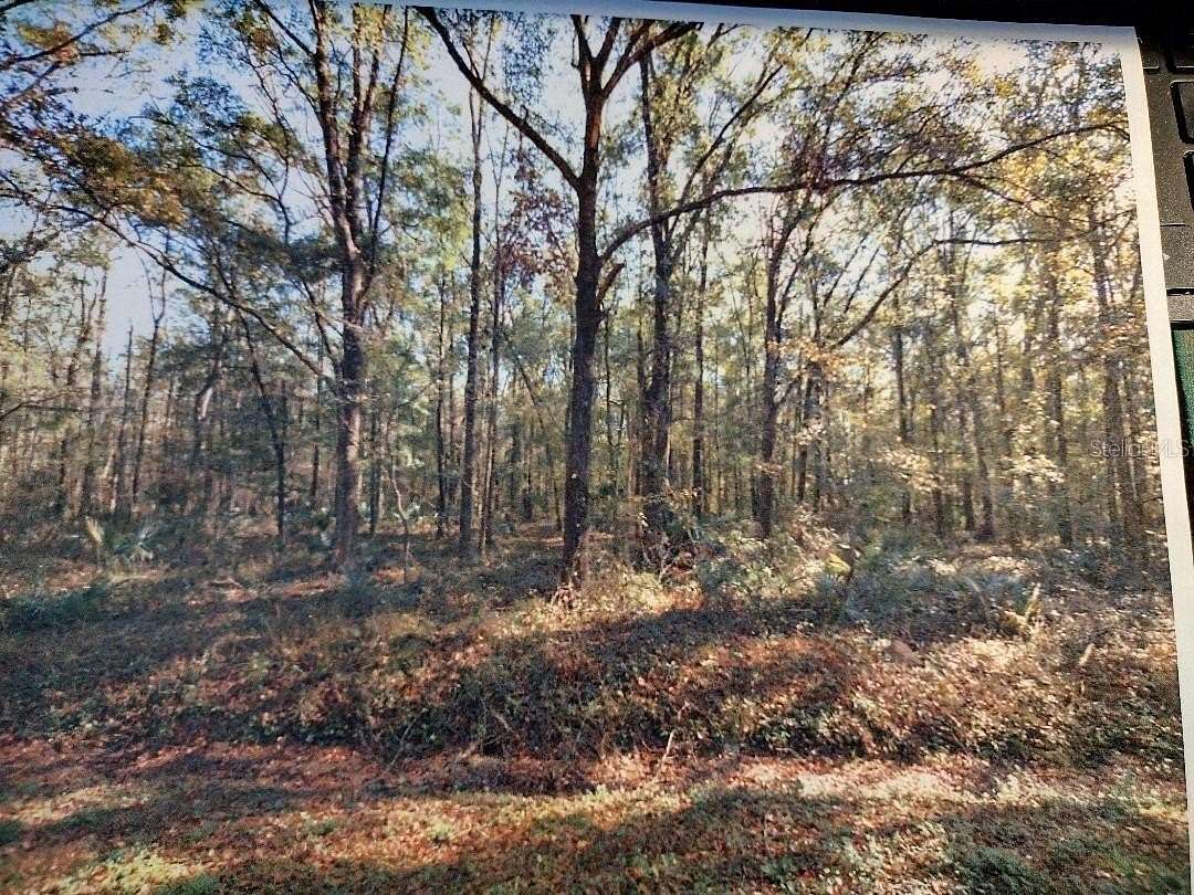 2.27 Acres of Residential Land for Sale in Hastings, Florida