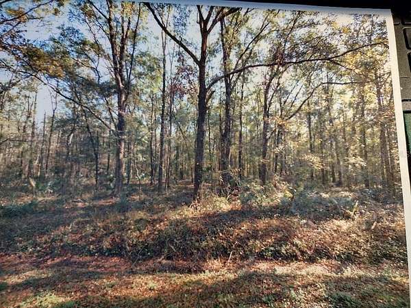 2.27 Acres of Residential Land for Sale in Hastings, Florida