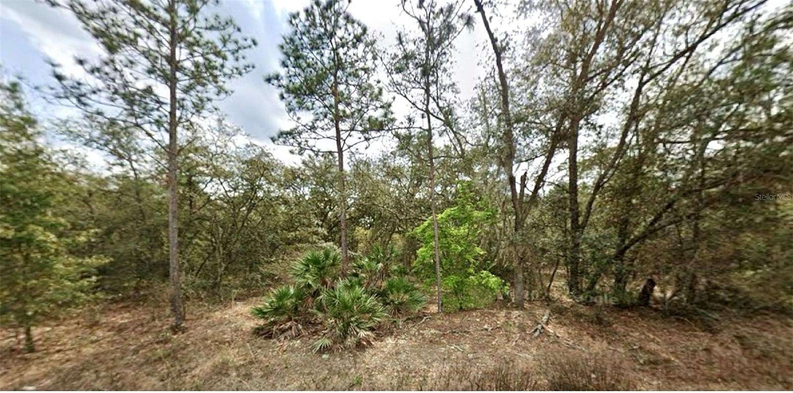 0.22 Acres of Residential Land for Sale in Interlachen, Florida