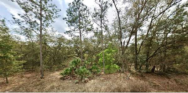 0.22 Acres of Residential Land for Sale in Interlachen, Florida