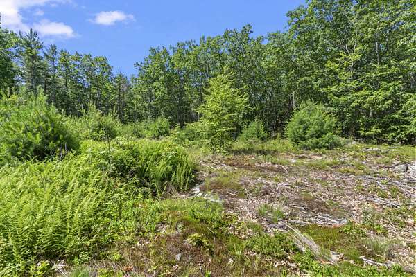 8 Acres of Residential Land for Sale in York Town, Maine