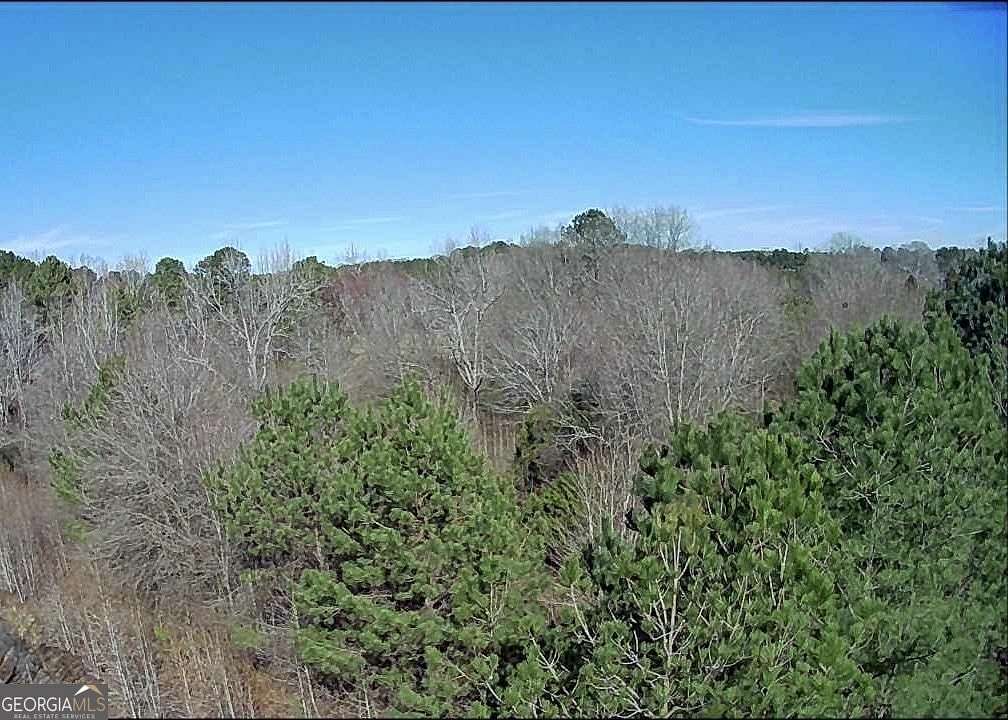 46 Acres of Land for Sale in Stockbridge, Georgia