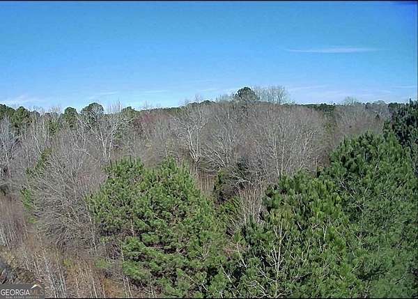 46 Acres of Land for Sale in Stockbridge, Georgia