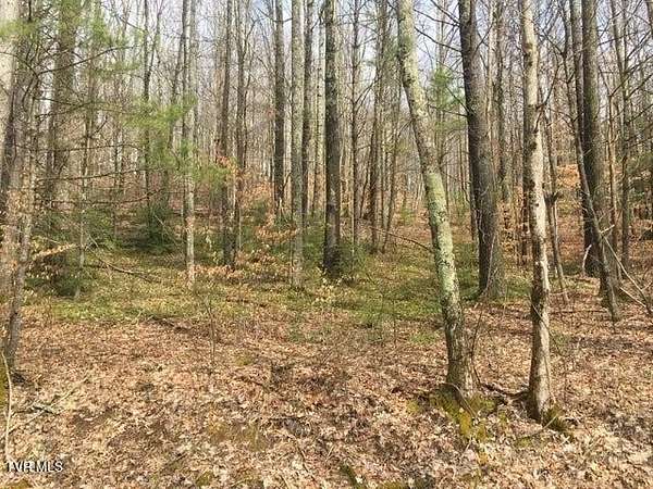 59.3 Acres of Recreational Land for Sale in Roan Mountain, Tennessee