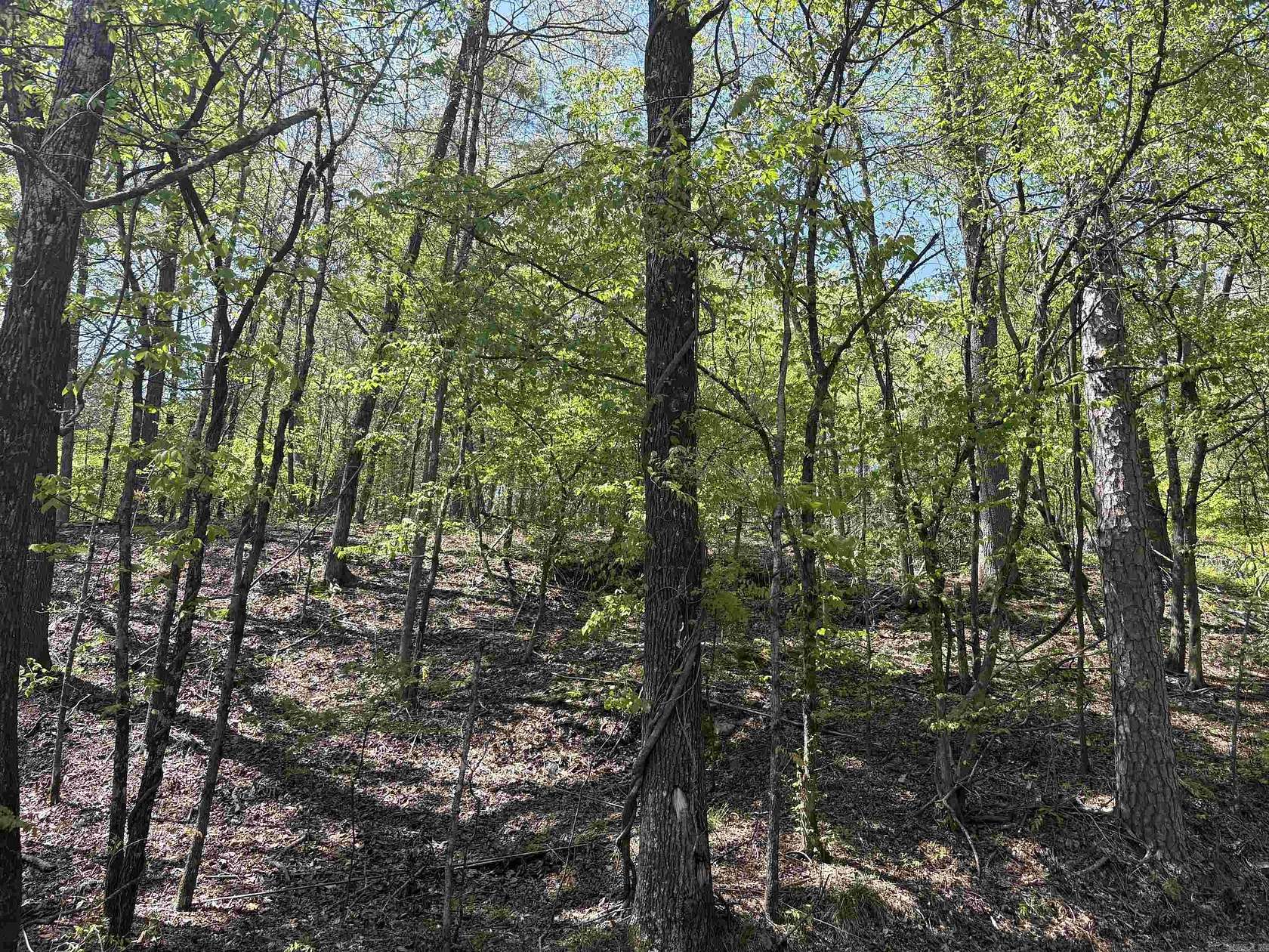 0.5 Acres of Residential Land for Sale in Hot Springs, Arkansas