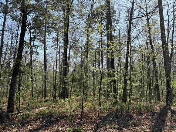 0.27 Acres of Residential Land for Sale in Hot Springs Village, Arkansas