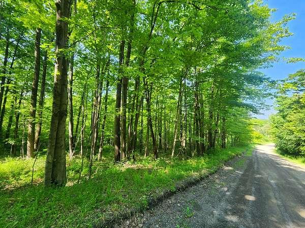 21 Acres of Recreational Land for Sale in Erin, New York