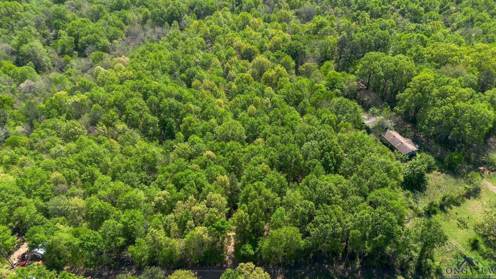 10 Acres of Land for Sale in Lone Star, Texas