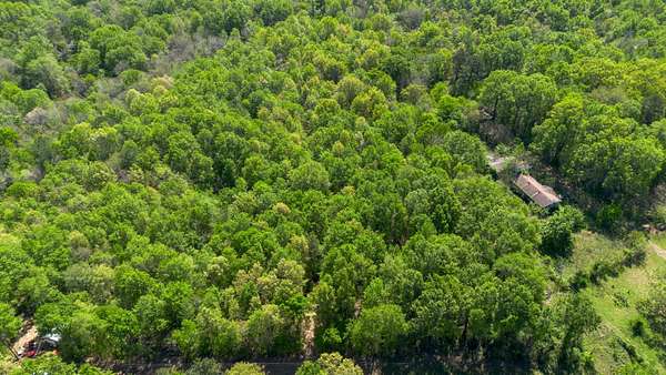 10 Acres of Land for Sale in Lone Star, Texas