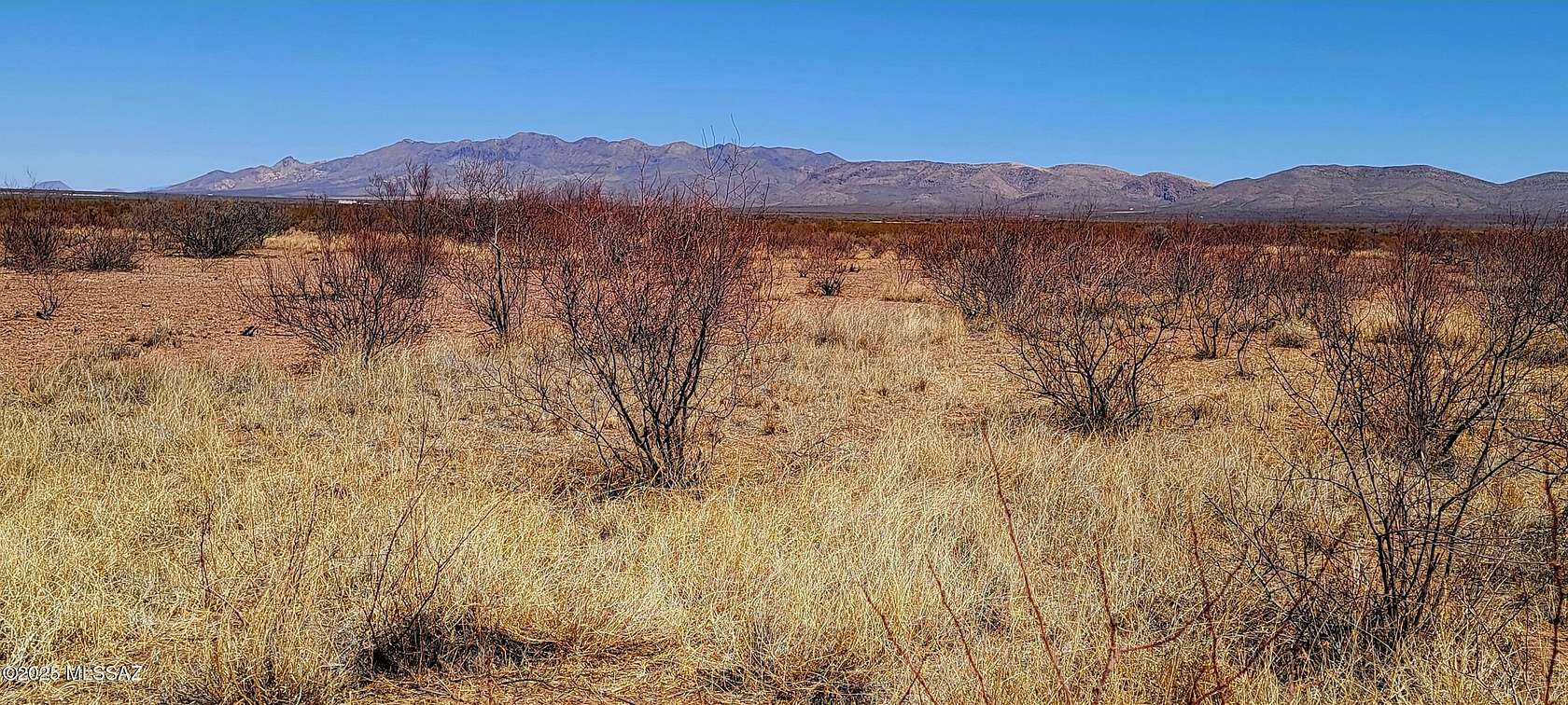 40.5 Acres of Recreational Land for Sale in Douglas, Arizona