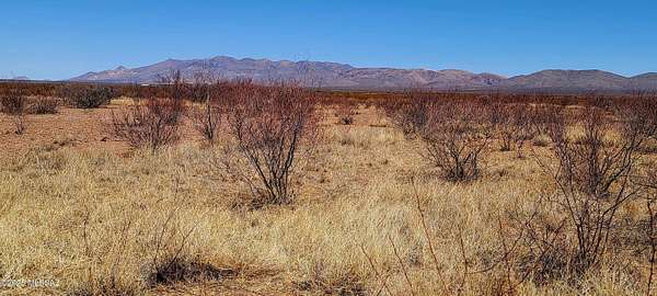 40.5 Acres of Recreational Land for Sale in Douglas, Arizona