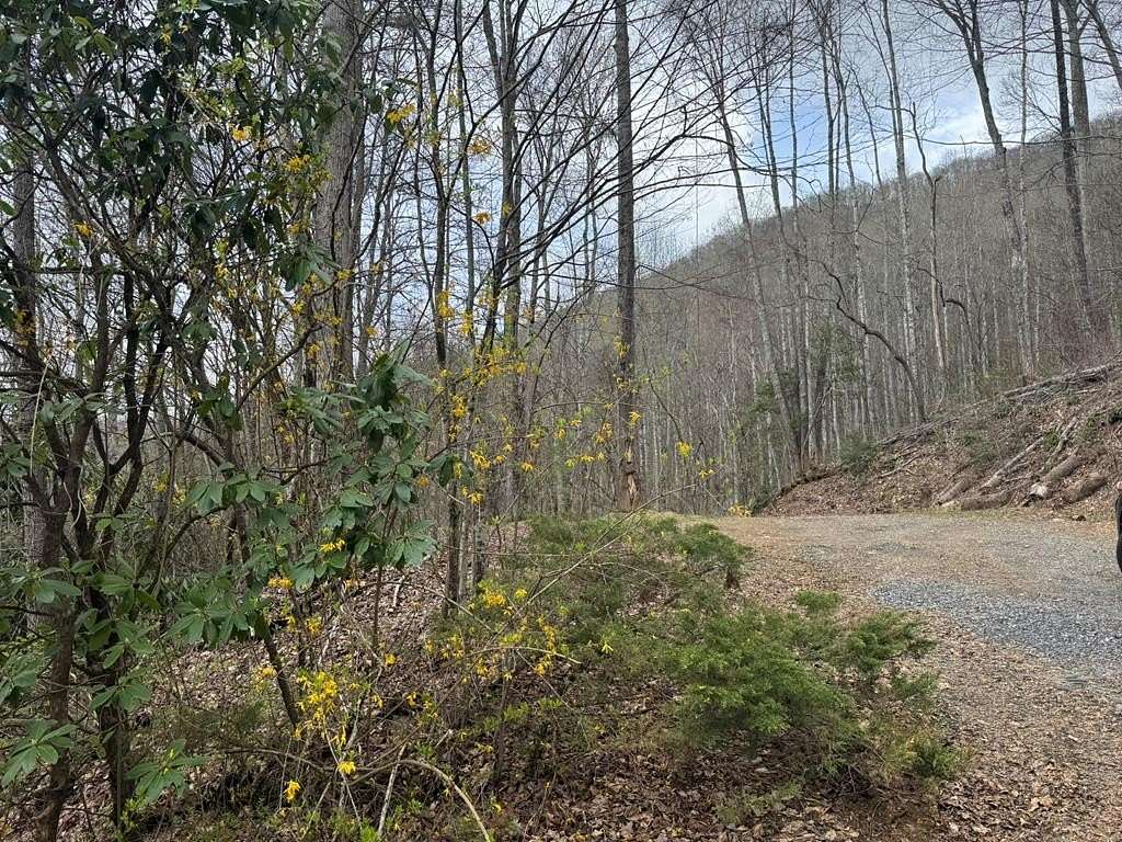 0.69 Acres of Residential Land for Sale in Whittier, North Carolina