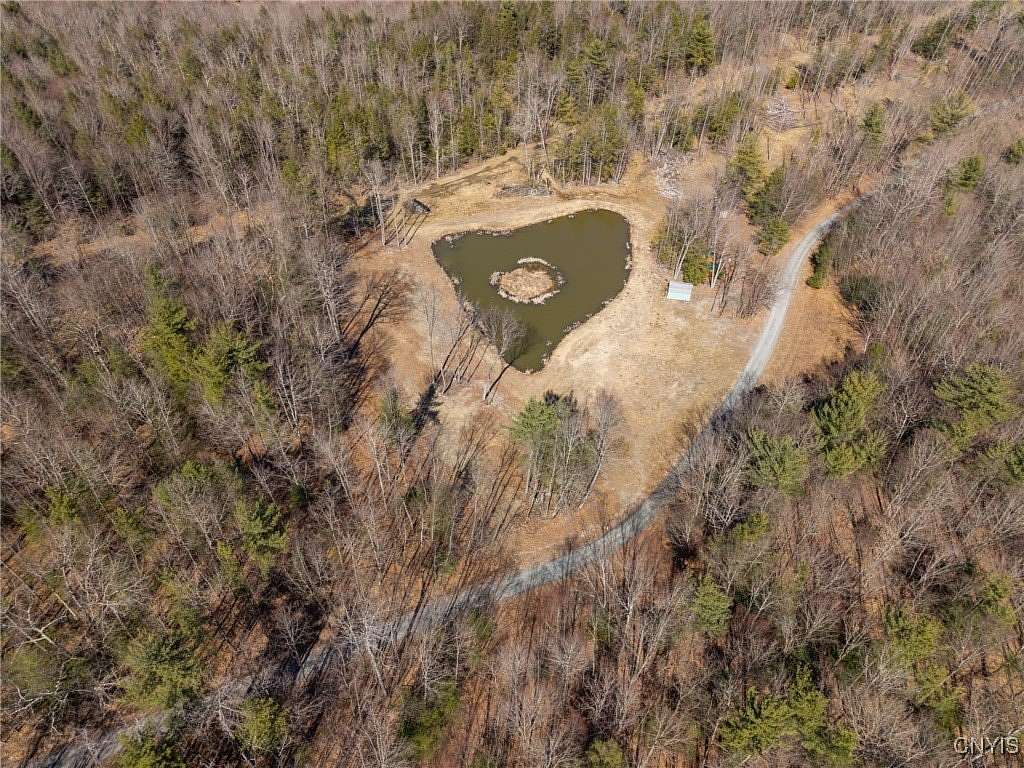 16.2 Acres of Recreational Land for Sale in Woodhull, New York