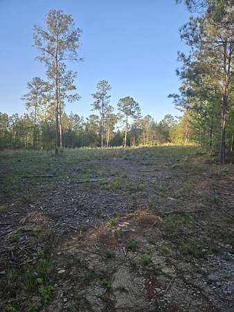 7.59 Acres of Residential Land for Sale in Lincolnton, Georgia