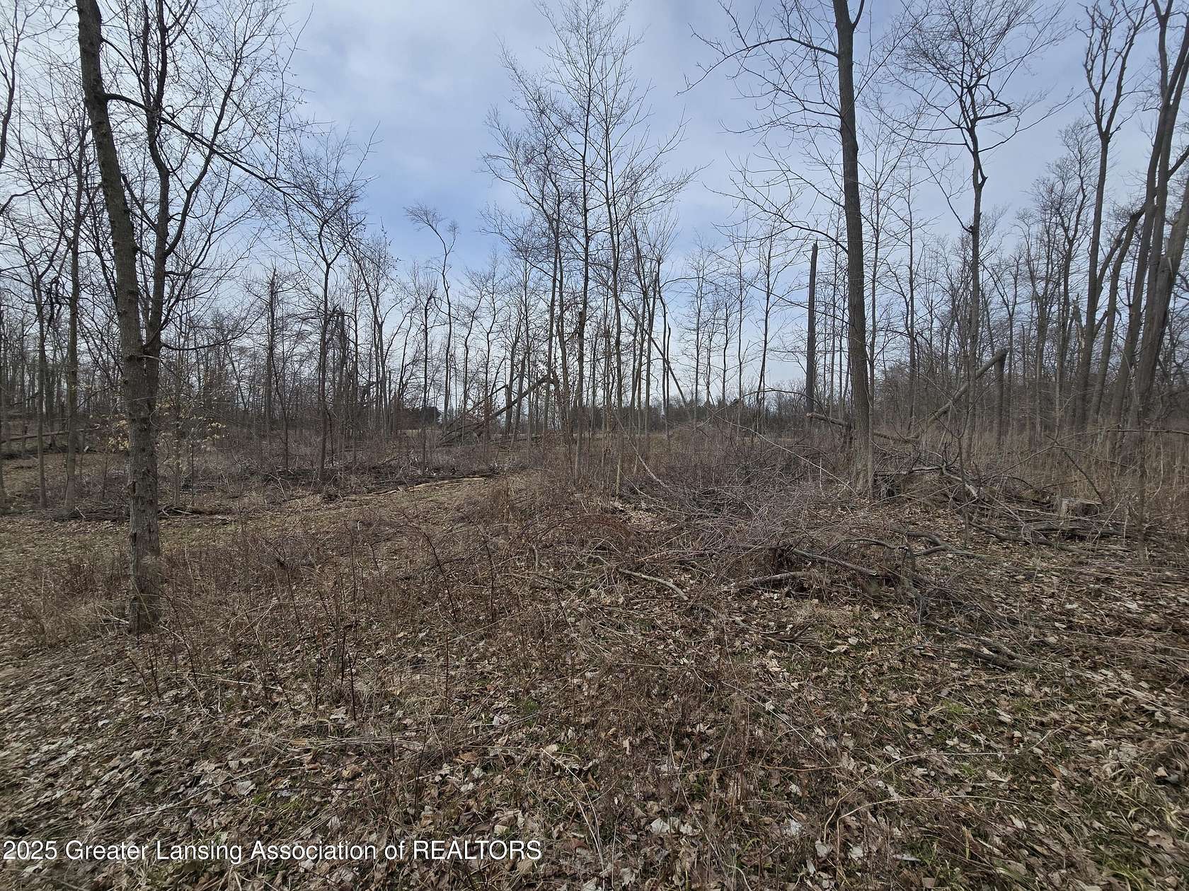 14.7 Acres of Land for Sale in Eagle, Michigan